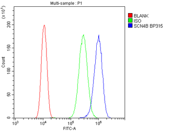 SCN4B Rabbit Polyclonal Antibody