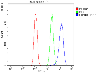 SCN4B Rabbit Polyclonal Antibody