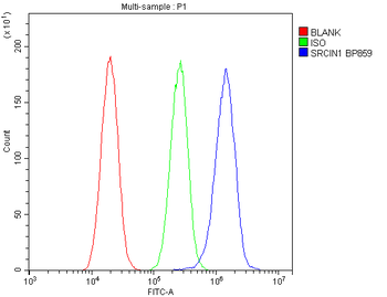 SRCIN1 Rabbit Polyclonal Antibody