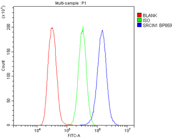SRCIN1 Rabbit Polyclonal Antibody
