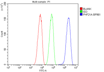 BHC80/PHF21A Rabbit Polyclonal Antibody