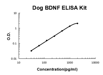 Canine BDNF ELISA Kit
