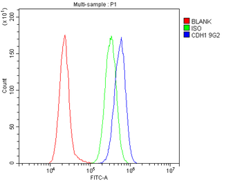 E Cadherin 1 CDH1 Mouse Monoclonal Antibody