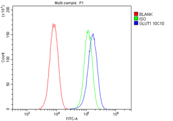 SLC2A1 Mouse Monoclonal Antibody