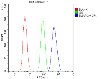BRG1 SMARCA4 Mouse Monoclonal Antibody