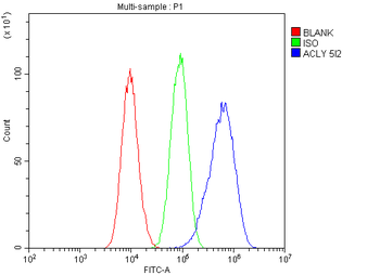 ATP citrate lyase ACLY Mouse Monoclonal Antibody