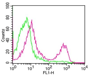 CD3 zeta CD247 Rabbit Monoclonal Antibody
