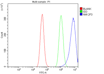 NMI Mouse Monoclonal Antibody