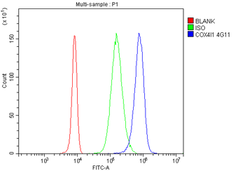 COX IV COX4I1 Mouse Monoclonal Antibody