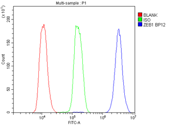 AREB6/ZEB1 Rabbit Polyclonal Antibody