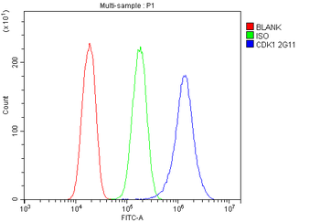 CDK1 Mouse Monoclonal Antibody