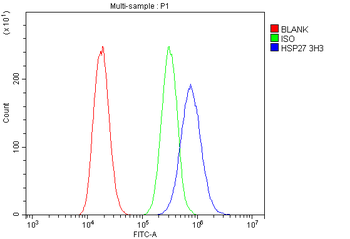 Hsp27/HSPB1 Mouse Monoclonal Antibody