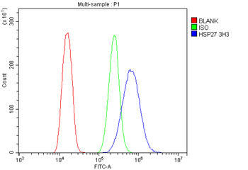Hsp27/HSPB1 Mouse Monoclonal Antibody