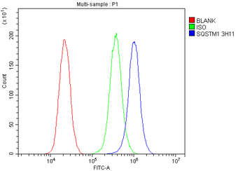 SQSTM1/p62 Mouse Monoclonal Antibody