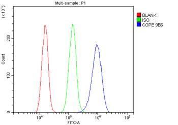 COPE Mouse Monoclonal Antibody