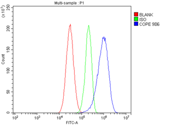 COPE Mouse Monoclonal Antibody