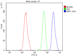 NRF1 Mouse Monoclonal Antibody