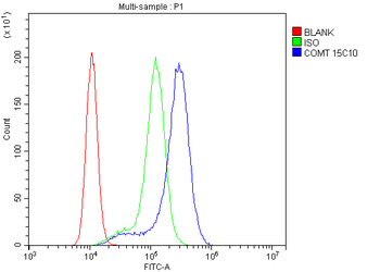 COMT Mouse Monoclonal Antibody