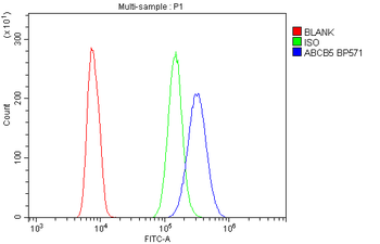 ABCB5 Rabbit Polyclonal Antibody