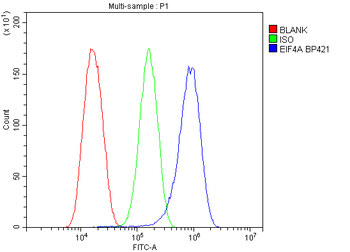 EIF4A1/2/3 Rabbit Polyclonal Antibody