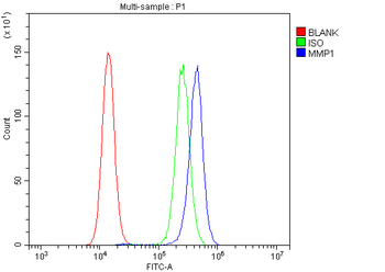 MMP1 Rabbit Polyclonal Antibody
