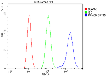 PKC delta/PRKCD Rabbit Polyclonal Antibody