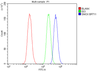 SMOX Rabbit Polyclonal Antibody