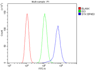 SYK Rabbit Polyclonal Antibody