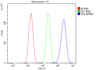 TIE2/TEK Rabbit Polyclonal Antibody