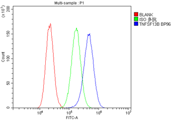 BAFF/TNFSF13B Rabbit Polyclonal Antibody