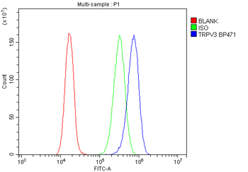 TRPV3 Rabbit Polyclonal Antibody