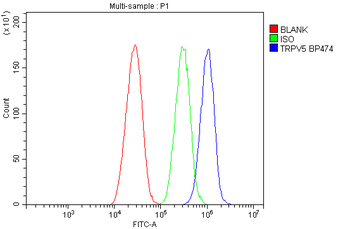 TRPV5 Rabbit Polyclonal Antibody