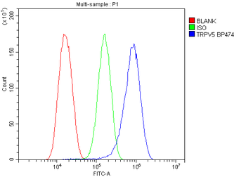 TRPV5 Rabbit Polyclonal Antibody