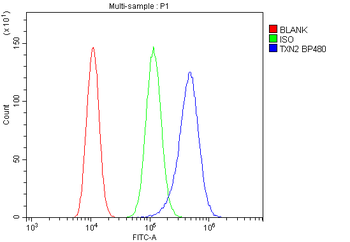 Thioredoxin 2/TXN2 Rabbit Polyclonal Antibody