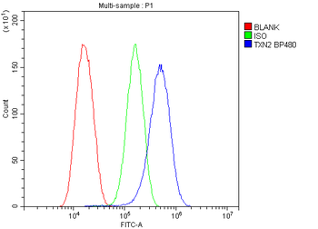 Thioredoxin 2/TXN2 Rabbit Polyclonal Antibody