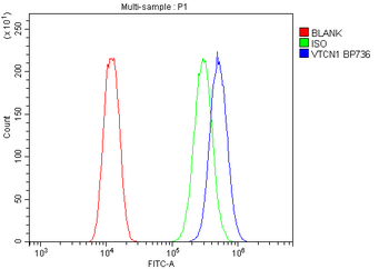 B7H4/VTCN1 Rabbit Polyclonal Antibody