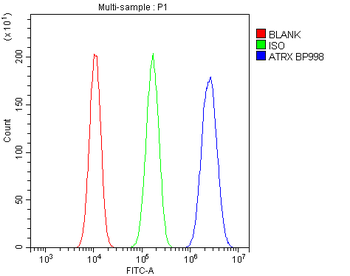 ATRX Rabbit Polyclonal Antibody