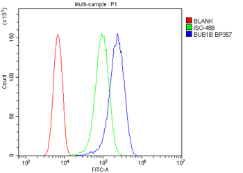 BubR1/BUB1B Rabbit Polyclonal Antibody