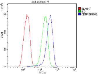 CETP Rabbit Polyclonal Antibody