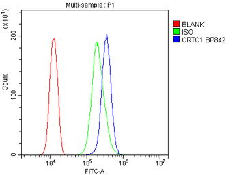 TORC1/CRTC1 Rabbit Polyclonal Antibody