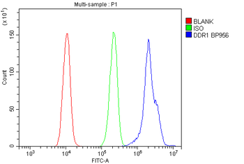 MCK10/NEP/DDR1 Rabbit Polyclonal Antibody