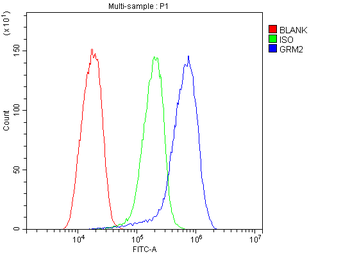 Metabotropic glutamate receptor 2/GRM2 Rabbit Polyclonal Antibody