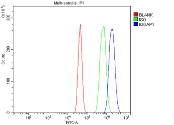 IQGAP1 Rabbit Polyclonal Antibody
