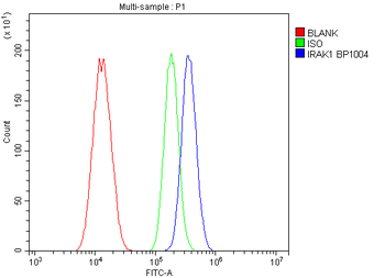 IRAK-1/IRAK1/IRAK Rabbit Polyclonal Antibody