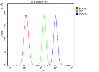 p23/PTGES3 Rabbit Polyclonal Antibody