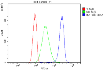 MVP Mouse Monoclonal Antibody