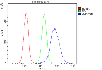 MVP Mouse Monoclonal Antibody