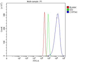 CYP7A1 Rabbit Polyclonal Antibody