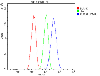 ABCG8 Rabbit Polyclonal Antibody