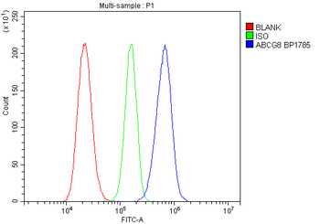 ABCG8 Rabbit Polyclonal Antibody